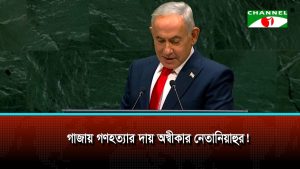 গাজায় গণহত্যার অভিযোগ শতাব্দীর সবচেয়ে বড় মিথ্যা, জাতিসংঘে নেতানিয়াহু