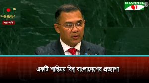 একটি শান্তিময় বিশ্ব বাংলাদেশের প্রত্যাশা প্রধানমন্ত্রী
