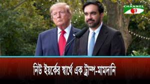 নিউ ইয়র্কের তীব্র আবাসন সংকট নিরসনে একমত ট্রাম্প ও মামদানি: যৌথ পরিকল্পনার আভাস