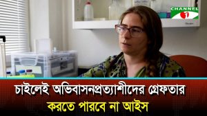 শব্দ দিয়ে মশা শনাক্ত