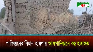 পাকিস্তানের বিমান হামলায় আফগানিস্তানে বহু হতাহত