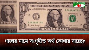 গাজাবাসীর সহায়তার আড়ালে জালিয়াতি, যুক্তরাষ্ট্রের দুই ভাইয়ের বিরুদ্ধে সন্ত্রাসবাদের মামলা