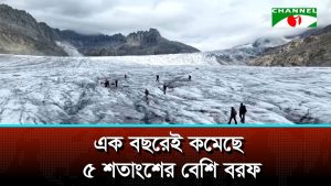 এক বছরেই কমেছে ৫ শতাংশের বেশি বরফ